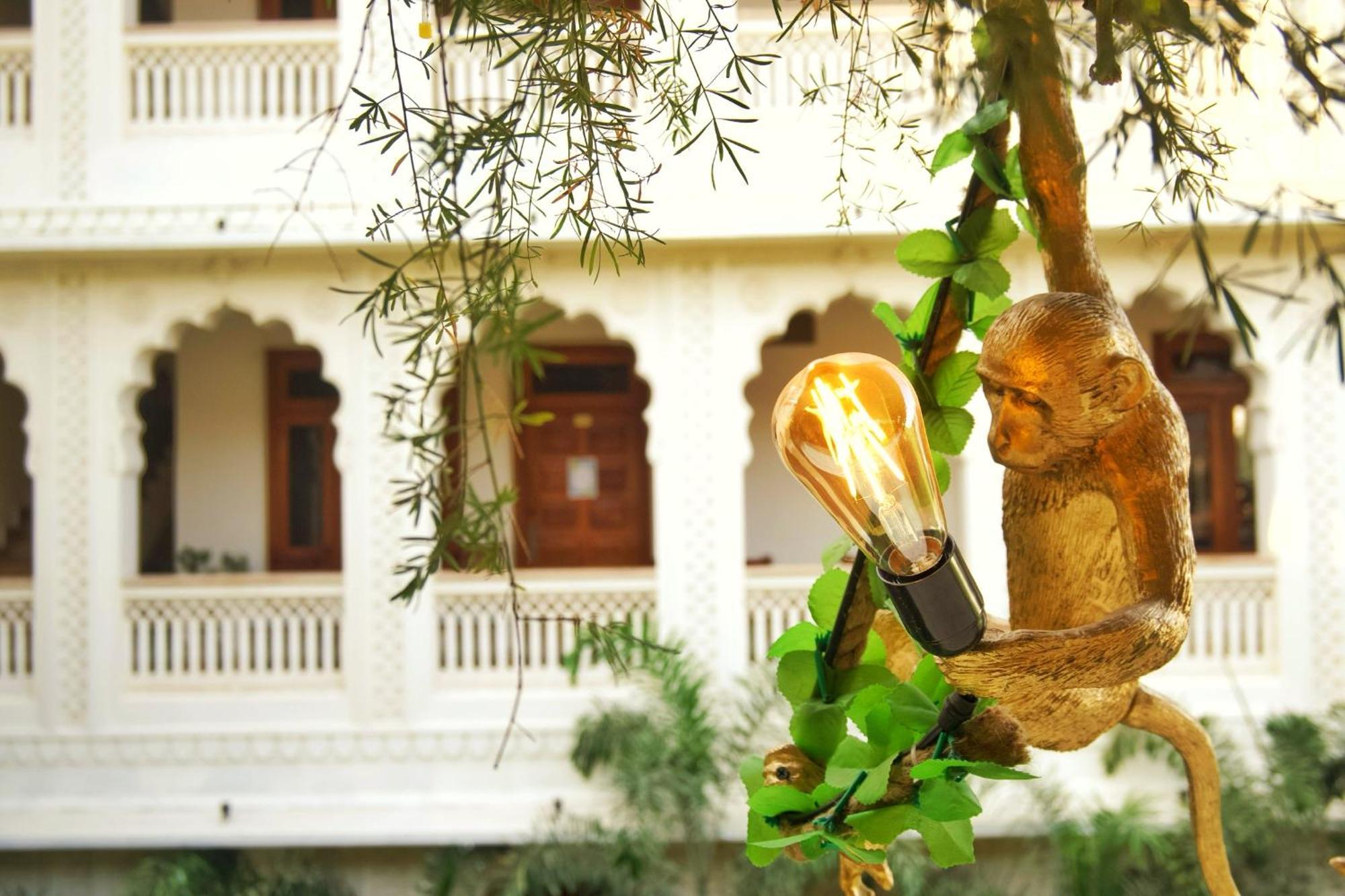 Banana Hostel プシュカル エクステリア 写真